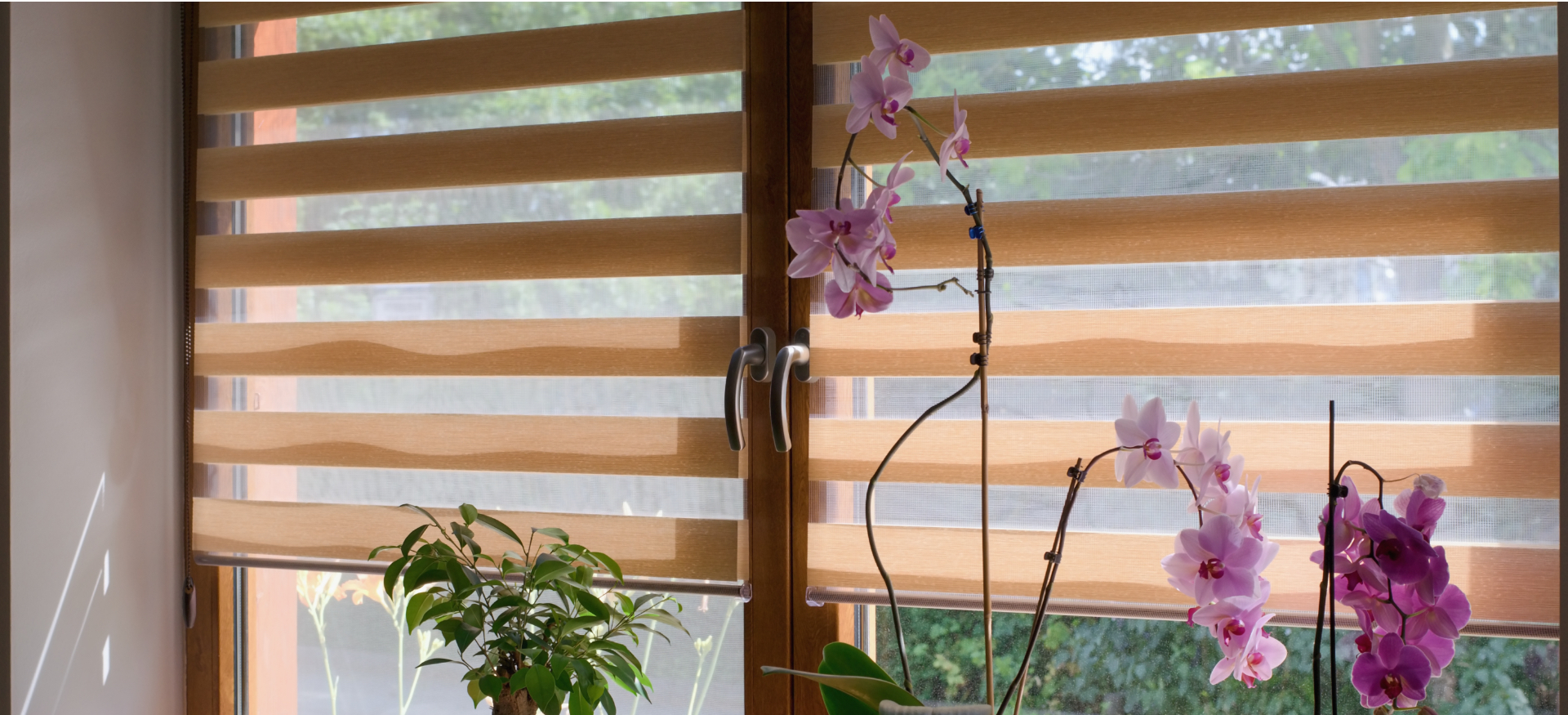 Duplex Blinds